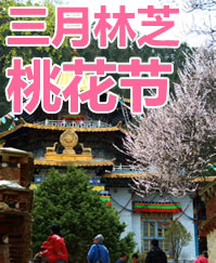 三月林芝桃花节图片