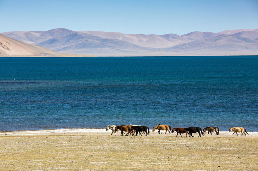 西藏组团游，拉萨、纳木措、林芝